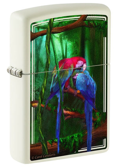 48972 Carol Cavalaris